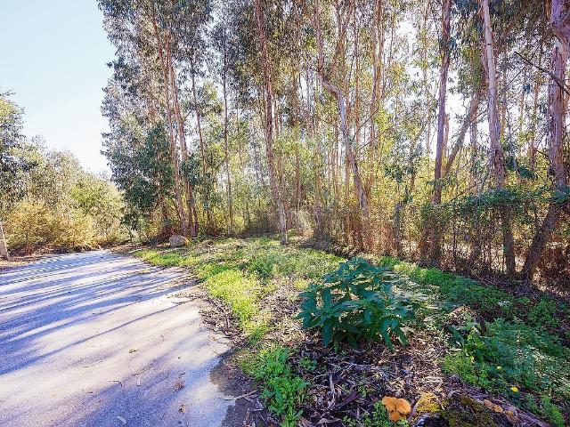 Terreno venda em Termas de São Vicente, Penafiel