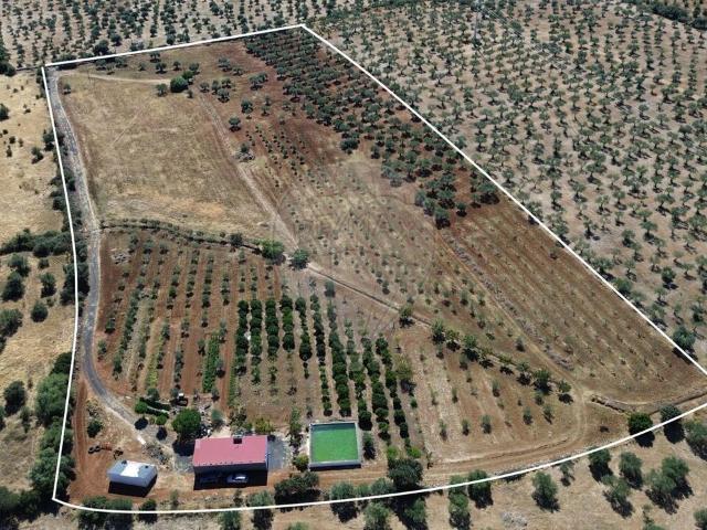 Terreno venda em Calçadinha, Elvas