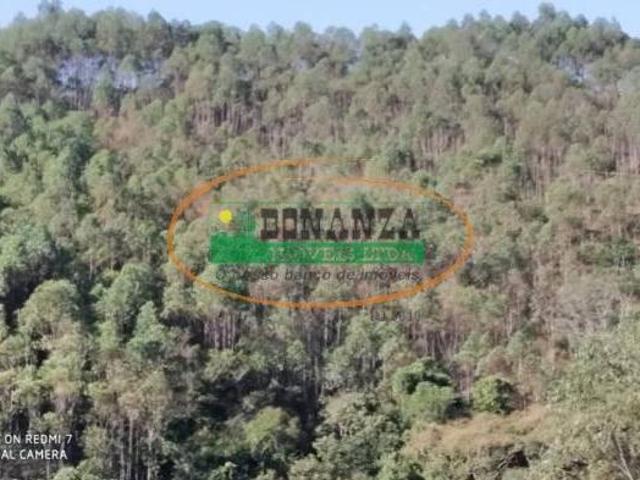 Terreno venda em Região Geográfica Imediata de Conselheiro Lafaiete, Entre Rios de Minas