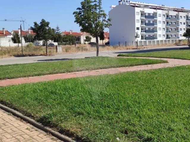 Terreno venda em Entroncamento, São João Baptista