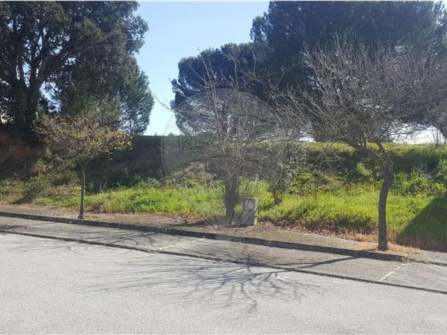 Terreno venda em Entroncamento, Nossa Senhora De Fátima
