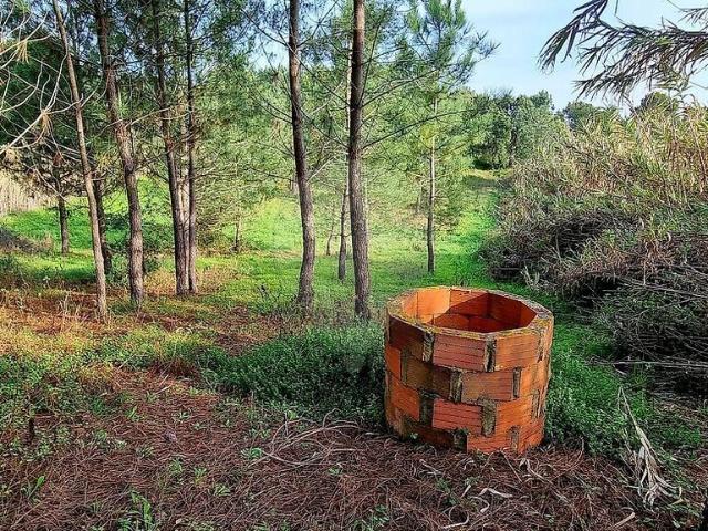 Terreno venda em Ereira e Lapa, Cartaxo