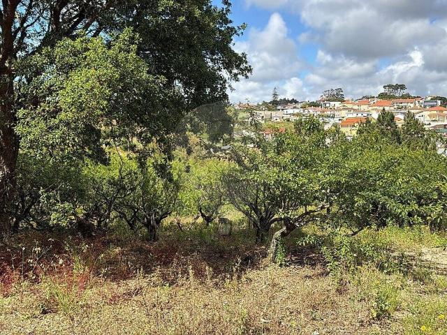 Terreno venda em Pinhal dos Frades, Mafra