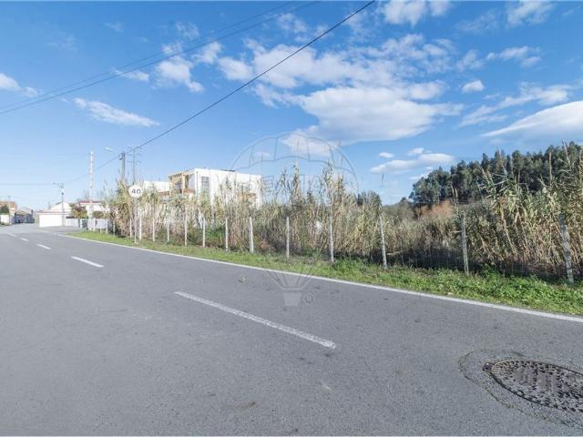 Terreno venda em Paço da Ermida, Ílhavo