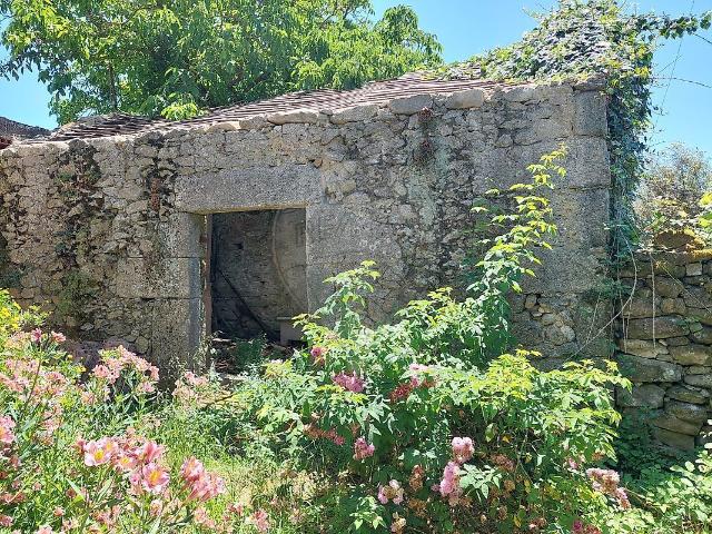 Terreno venda em Fiais da Beira, Ervedal