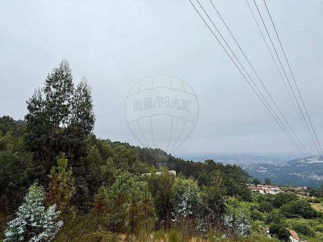 Terreno venda em Espadanedo, Viseu