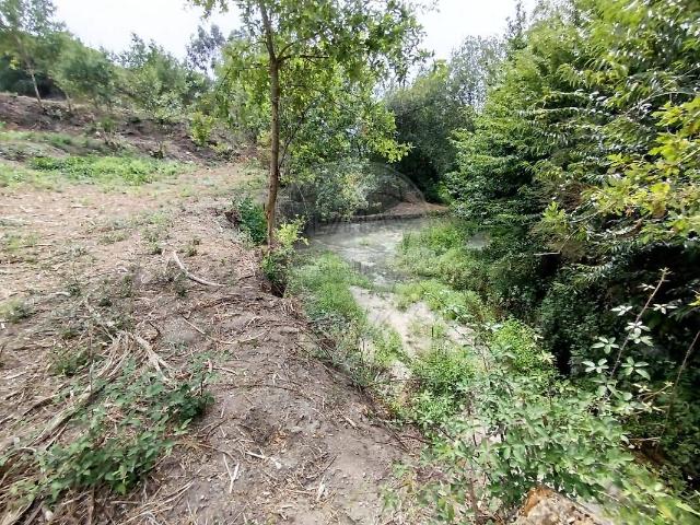 Terreno venda em Esperança e Brunhais, Póvoa de Lanhoso