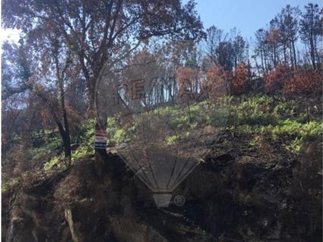 Terreno venda em Silvalde, Aveiro