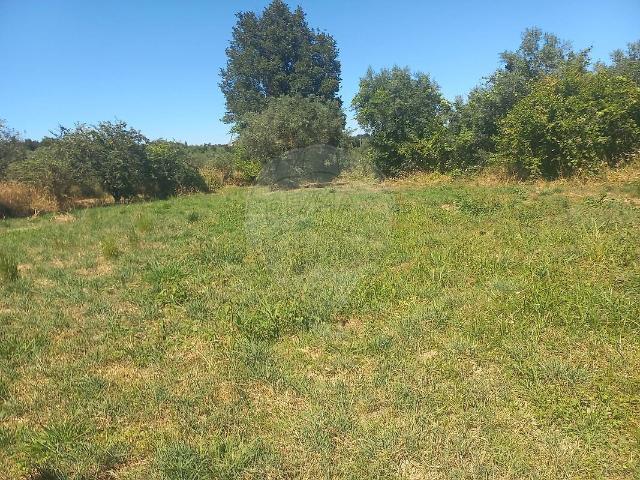 Terreno venda em Espinho, Mangualde