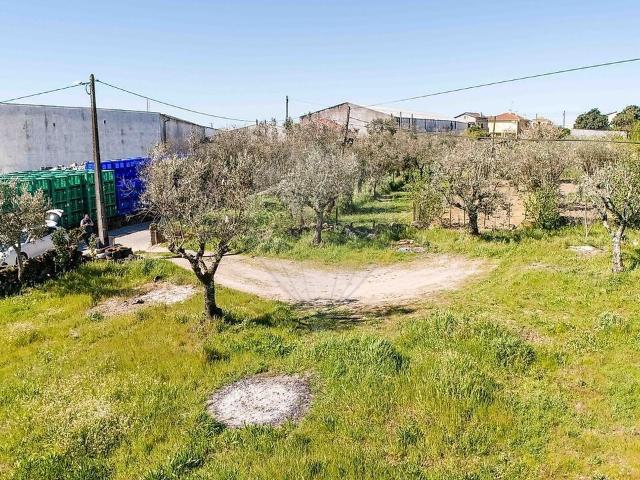 Terreno venda em Mangualde, Mesquitela e Cunha Alta, Mangualde