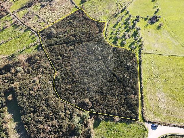 Terreno venda em Espinho, Mangualde