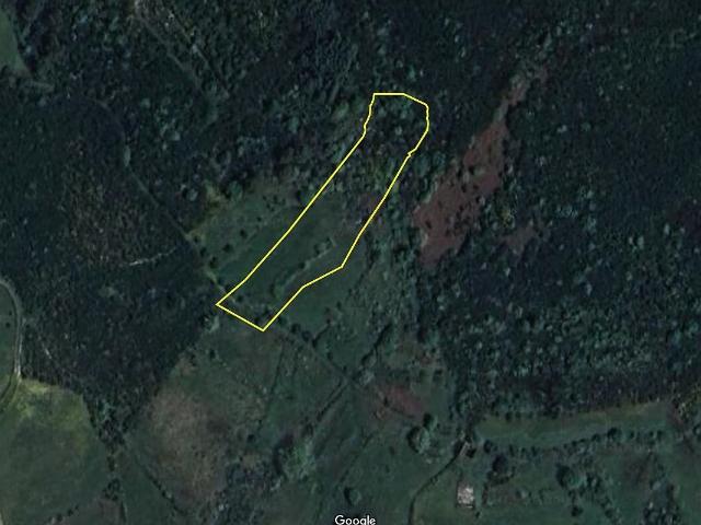 Terreno venda em Espinho, Mangualde