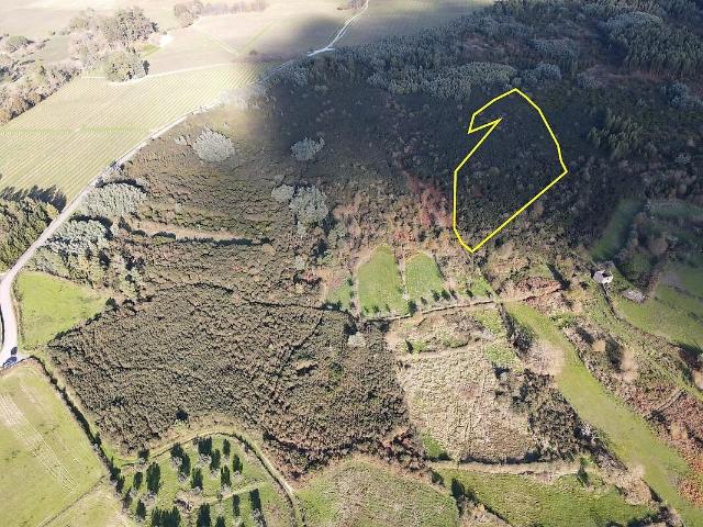 Terreno venda em Espinho, Mangualde