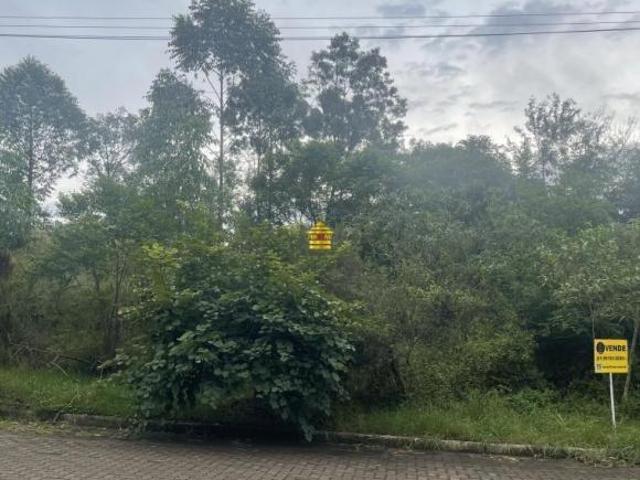 Terreno venda em Região Geográfica Imediata de Novo Hamburgo - São Leopoldo, Região Metropolitana de Porto Alegre