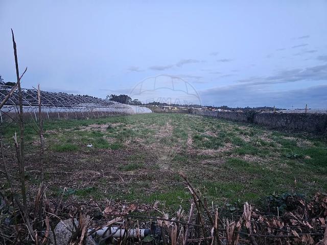 Terreno venda em Estela, Póvoa de Varzim