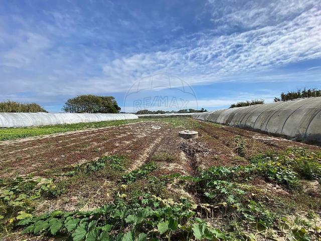Terreno venda em Estela, Póvoa de Varzim