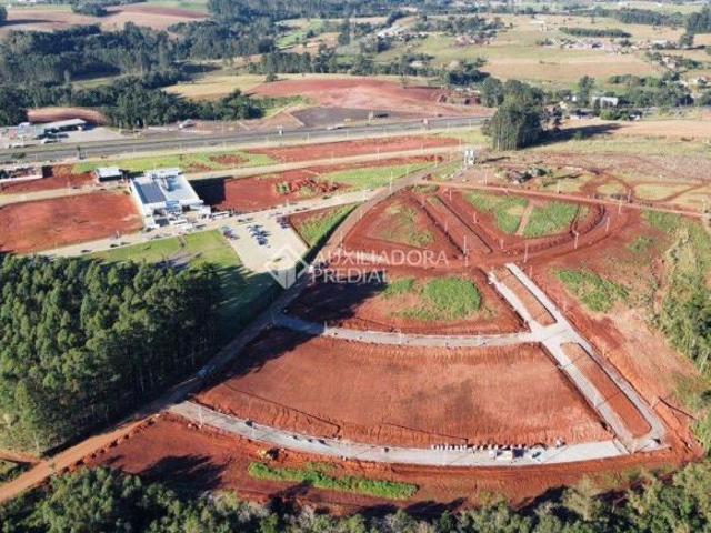 Terreno venda em Delfina, Estrela