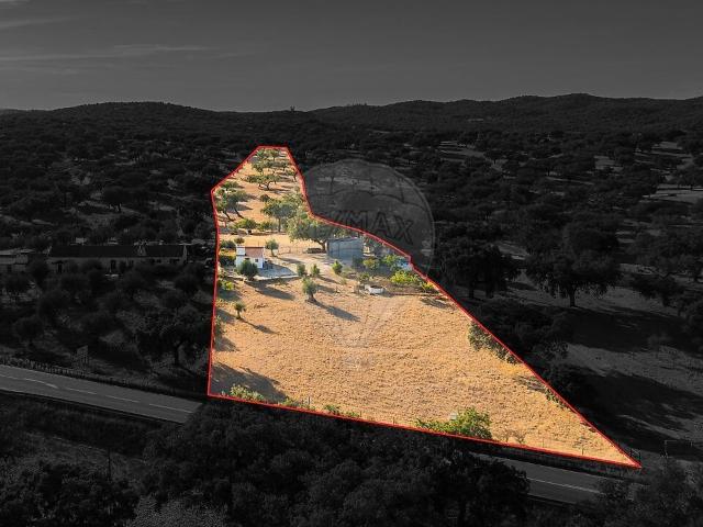 Terreno venda em Évora Monte (Santa Maria), Estremoz