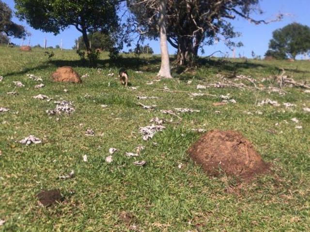 Terreno venda em Região Geográfica Imediata de Pouso Alegre, Extrema