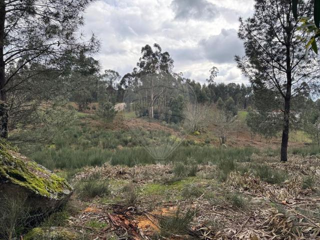 Terreno venda em Fafe, Braga