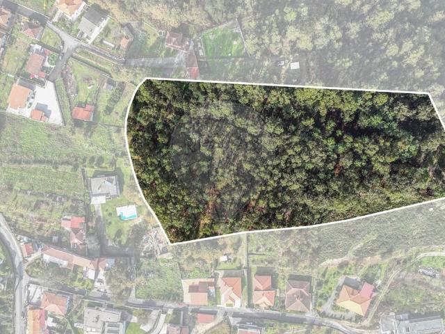 Terreno venda em Fafe, Braga