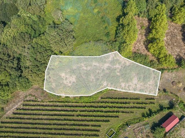 Terreno venda em Fafe, Braga