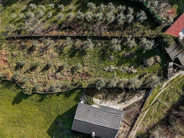 Terreno venda em Faíl e Vila Chã de Sá, Viseu