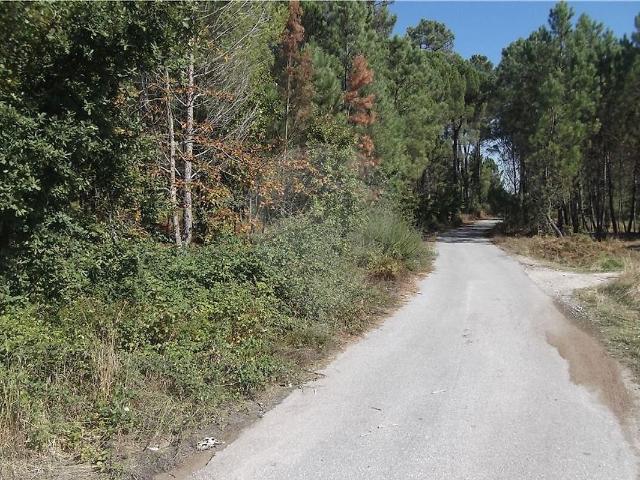 Terreno venda em Faíl e Vila Chã de Sá, Viseu