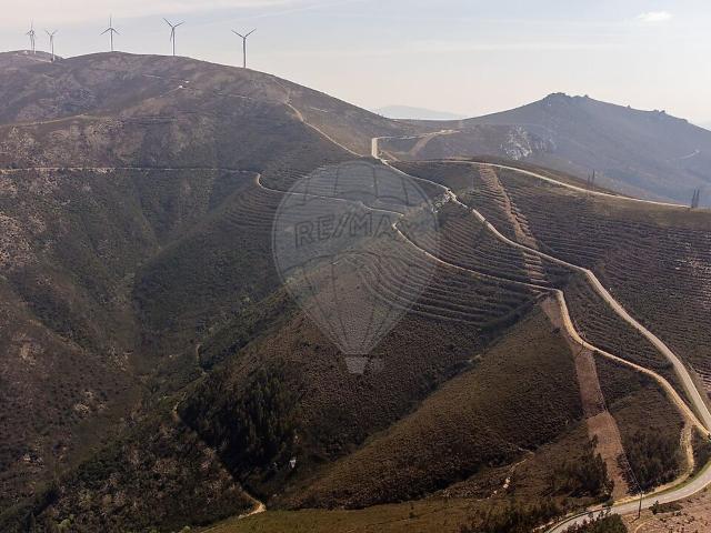 Terreno venda em Fajão-Vidual, Pampilhosa da Serra