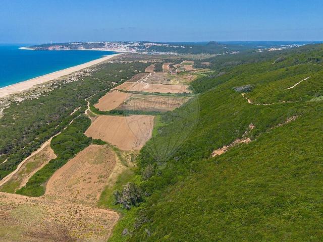 Terreno venda em Nazaré