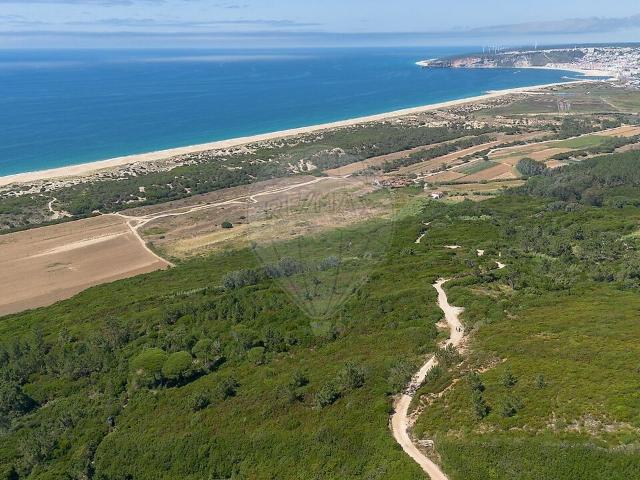 Terreno venda em Famalicão, Nazaré