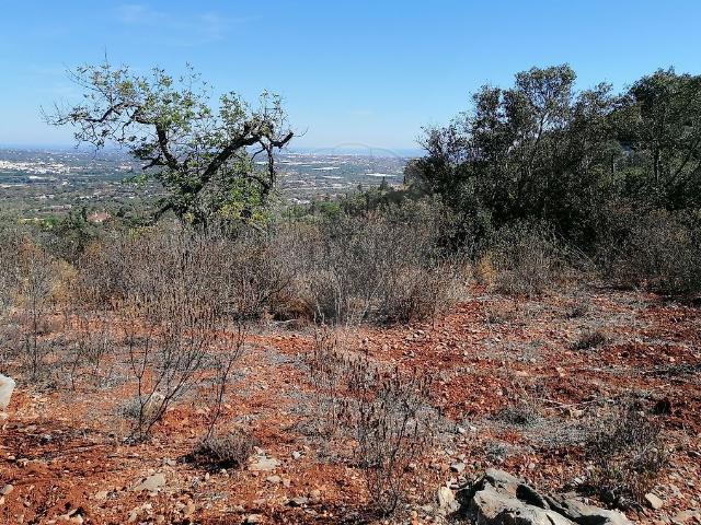Terreno venda em Faro