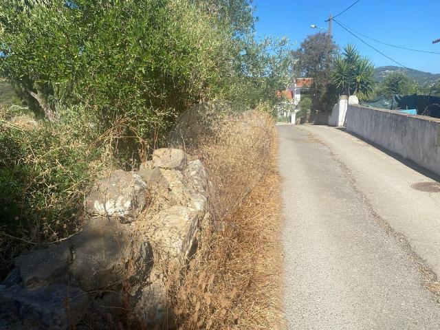 Terreno venda em Arjona, Faro