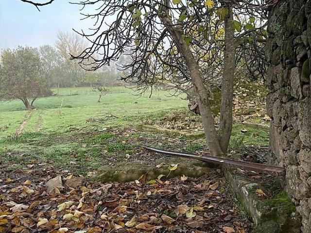 Terreno venda em Fatela, Fundão