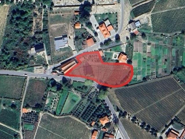 Terreno venda em Favaios, Alijó