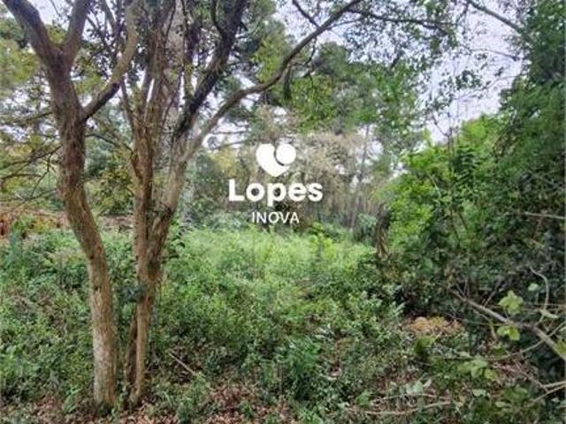 Terreno venda em Região Geográfica Imediata de Curitiba, Região Metropolitana de Curitiba