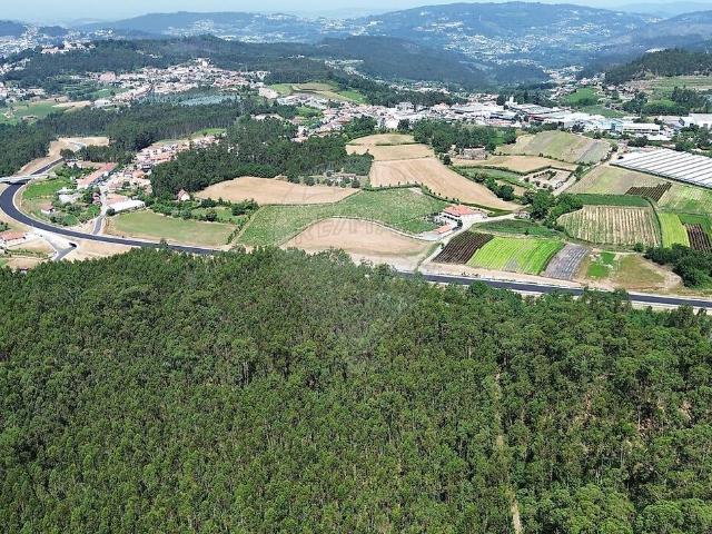 Terreno venda em Felgueiras, Pinheiro