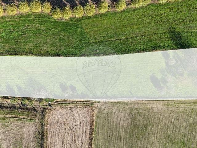 Terreno venda em Felgueiras, Porto