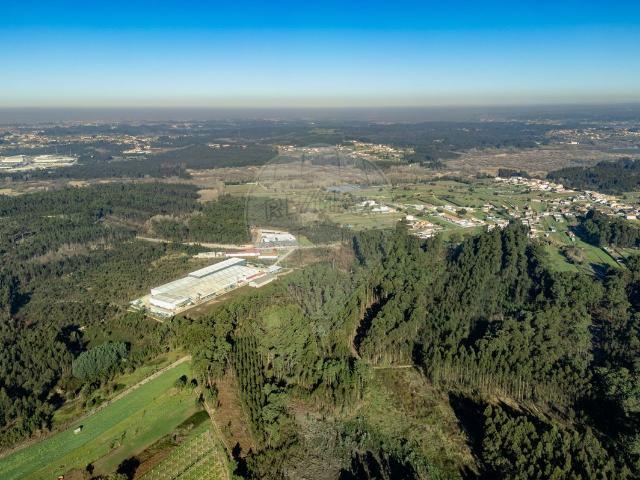 Terreno venda em Fermentelos, Águeda