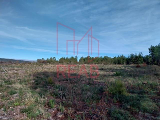 Terreno venda em Sátão, Viseu