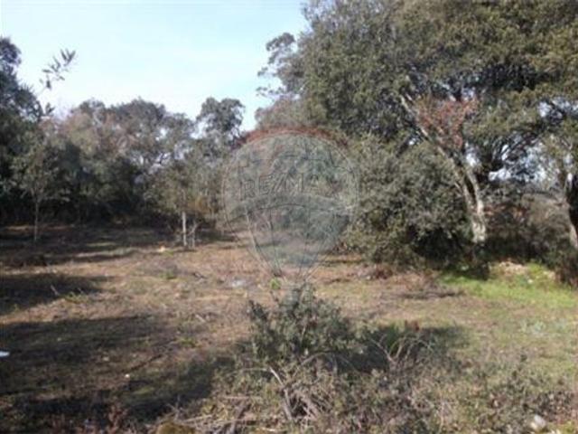 Terreno venda em Rego Da Murta, Santarém