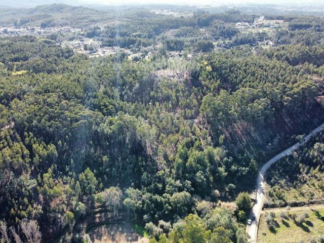 Terreno venda em Pegados, Rego Da Murta