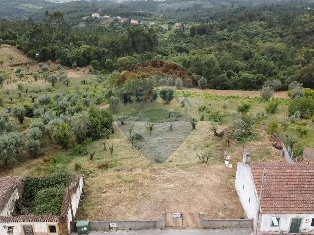 Terreno venda em Rego Da Murta, Santarém