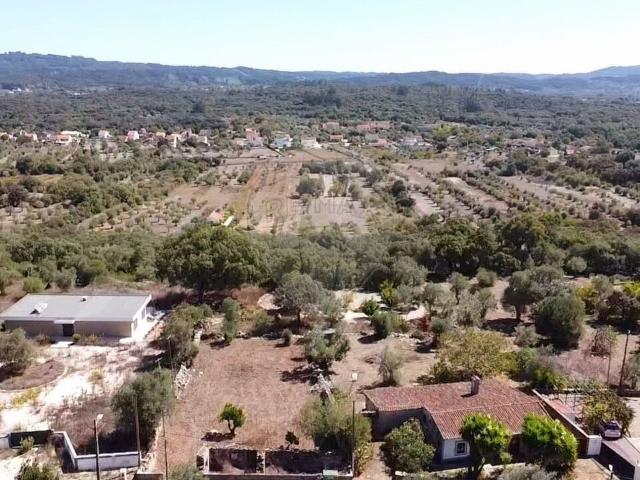 Terreno venda em Avecasta, Rego Da Murta