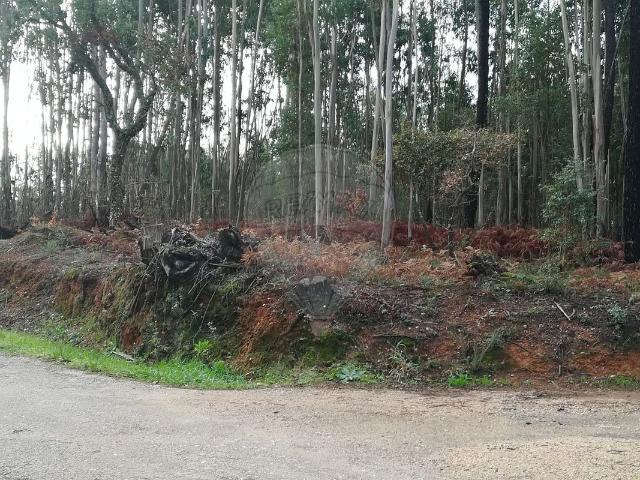 Terreno venda em Rego Da Murta, Santarém