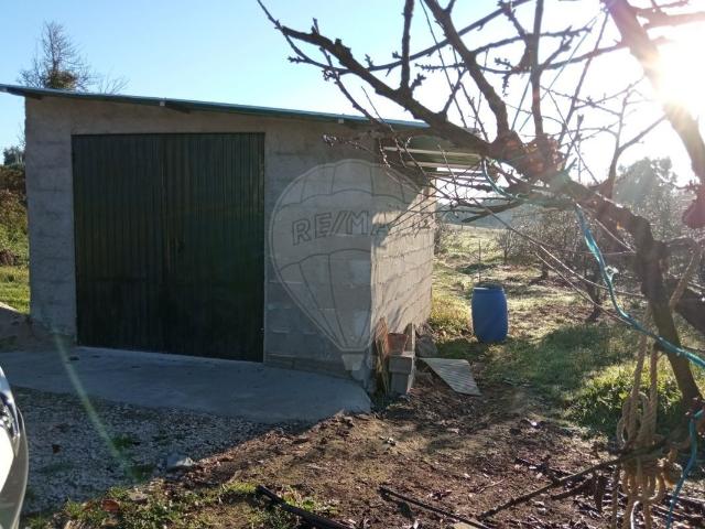 Terreno venda em Rego Da Murta, Santarém