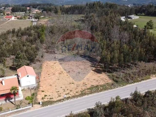 Terreno venda em Rego Da Murta, Santarém