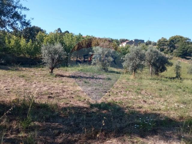 Terreno venda em Rebalvia, Rego Da Murta