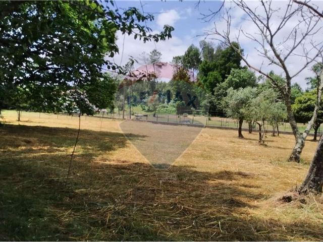 Terreno venda em Rego Da Murta, Santarém