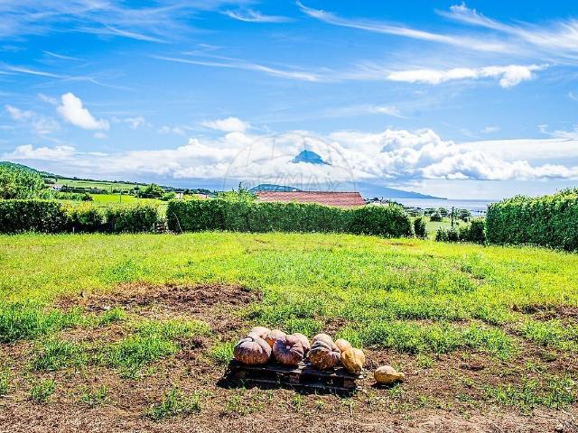 Terreno venda em Feteira, Horta